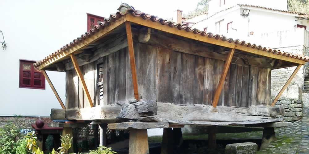 Grupos turísticos disfrutando